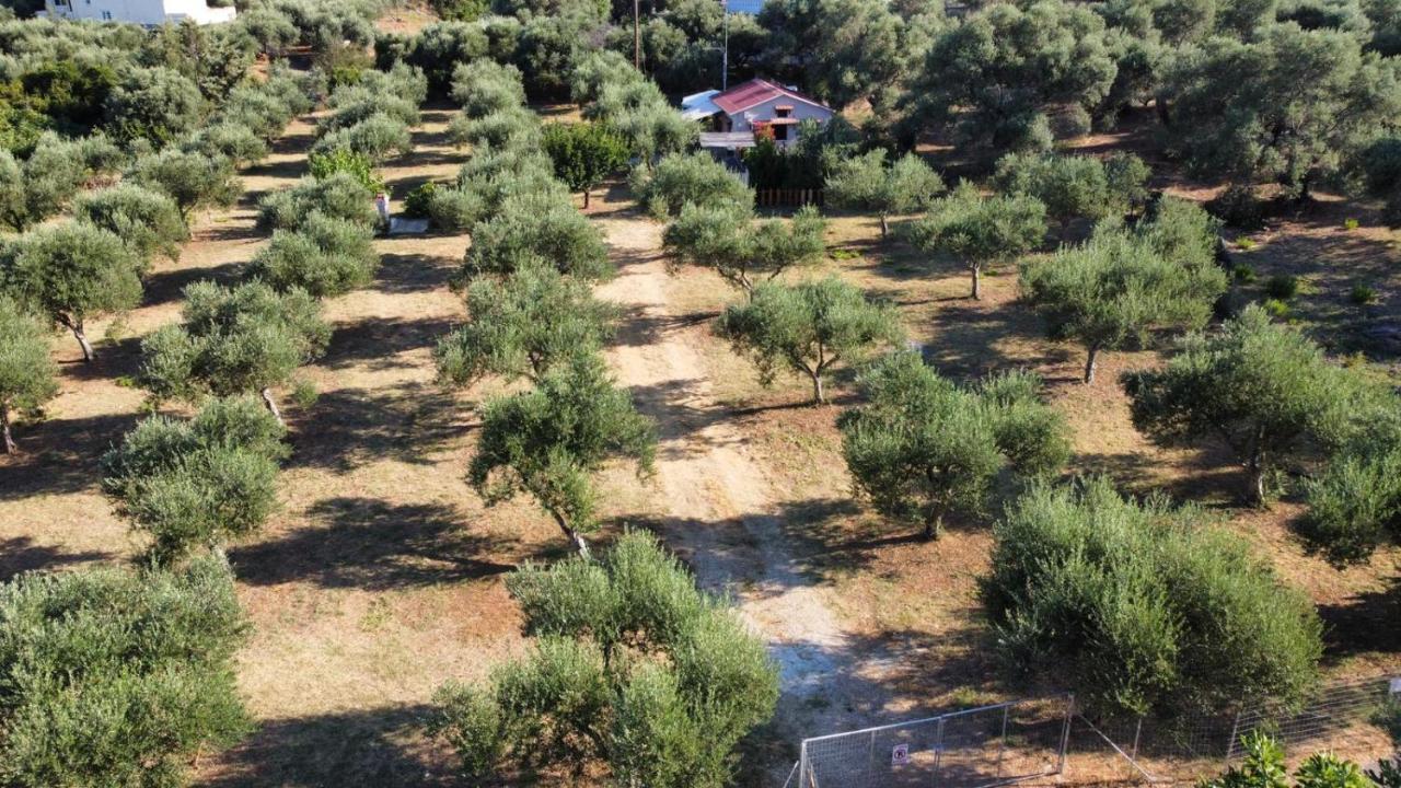 Olea Cottage Galatás 외부 사진